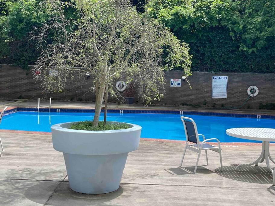Atlanta Penthouse King/ Queen Bd Exteriör bild